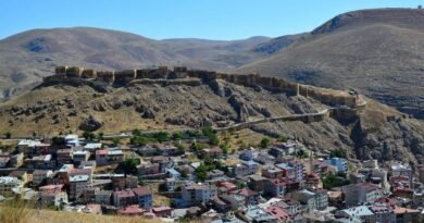 Bayburt'un Yerel Lezzetleri: Galacoş'tan Lor Dolmasına 9 Eşsiz Tat