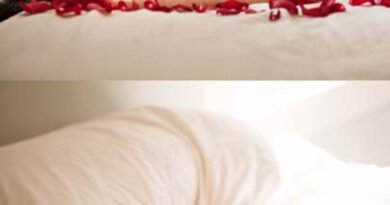 Yeni Nesil Arzu Nesneleri: Erotik Romanlar