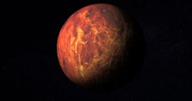 Arzu ve İçgüdüleri Yansıtan Mars Burcu Analizleri