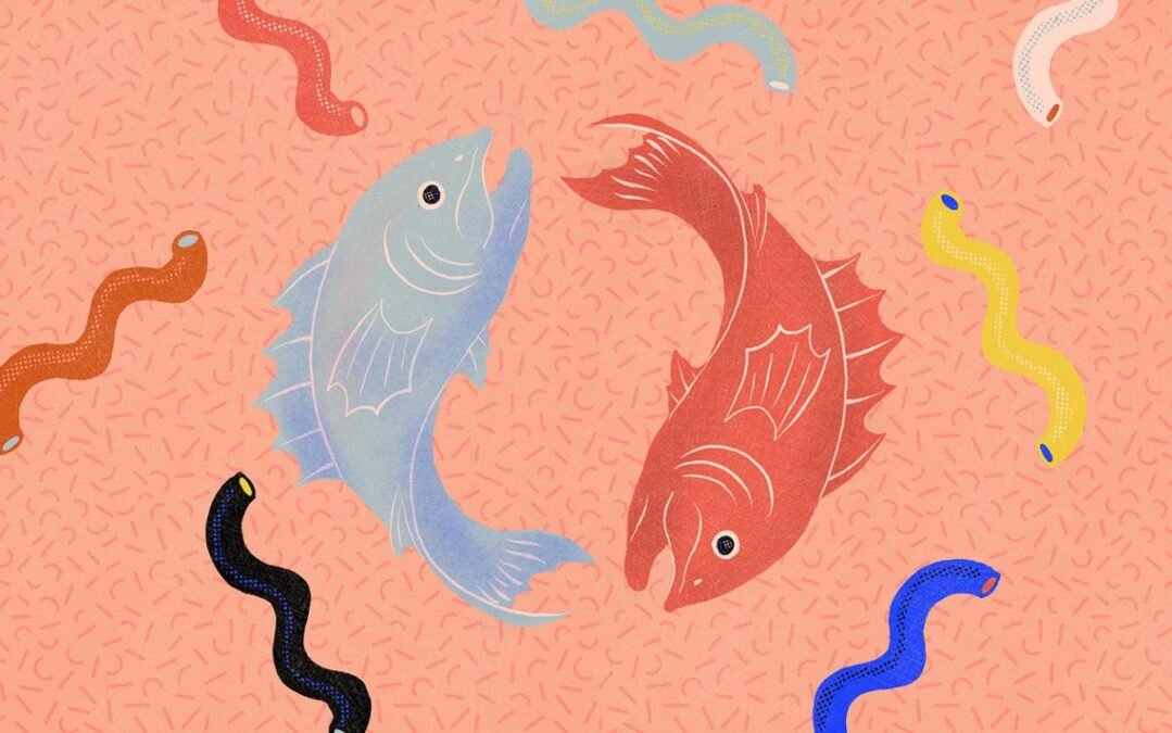 haftalık burç yorumları