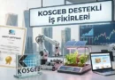 KOSGEB Destekli İş Fikirleri Nedir?