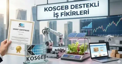 KOSGEB Destekli İş Fikirleri Nedir?