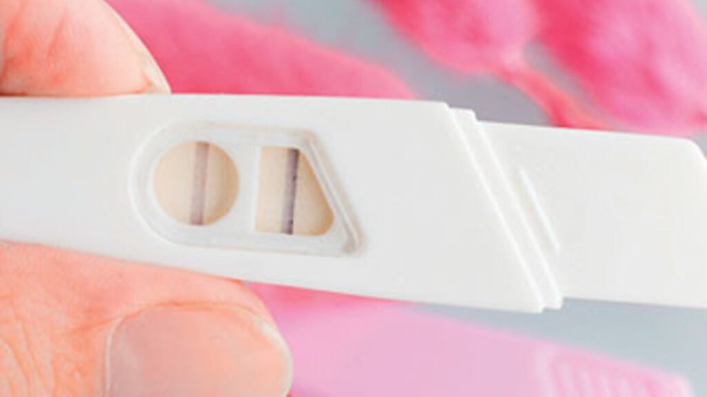 Hangi Koruma Yöntemi Size Uygun?