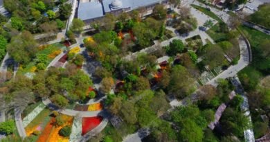 Anadolu'nun Zenginlikleri Ekrana Taşılıyor! “Her Şehir Bir Miras” Today: Alâeddin Hill