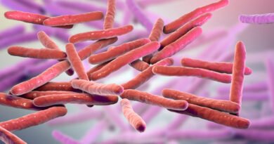 Cüzzam Hastalığı Nedir? Belirtileri Nelerdir?