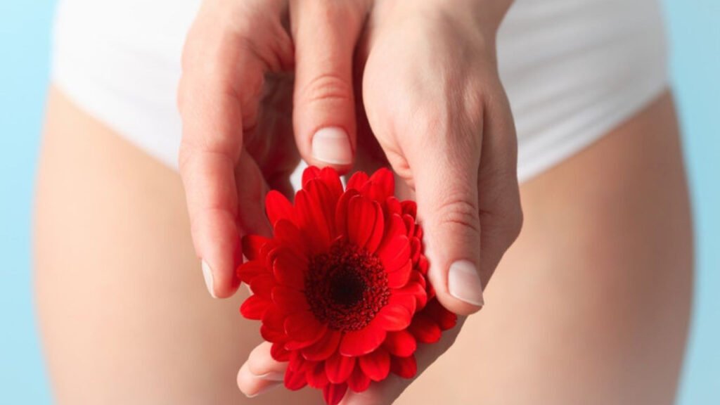 Doğum Kontrol Hapı Nedir ve Nasıl Kullanılır? A'dan Z'ye Kapsamlı Rehber