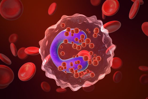 Eozinofil Nedir? Yüksek ve Düşük Eozinofil Düzeyleri Hakkında Bilgi