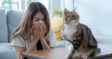 Alerji Aşısı (İmmünoterapi) Nedir? Belirtileri, Nedenleri ve Tedavi Yöntemleri nelerdir?