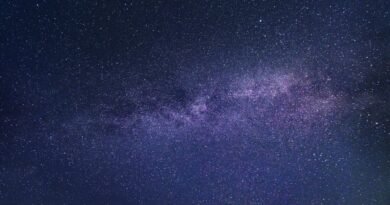 Astrolojide En Kararlı Burçlar Hangileridir?