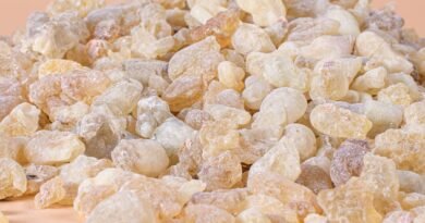 Akgünlük Sakızının Faydaları ve Kullanım Alanları