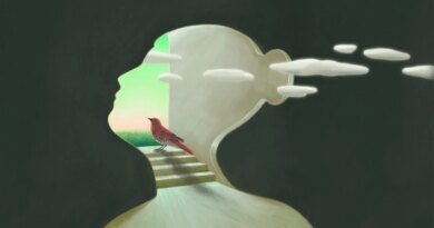 TikTok'ta Viral Olan İlişki Testi: 'Kuş Teorisi' Trendi Nedir?