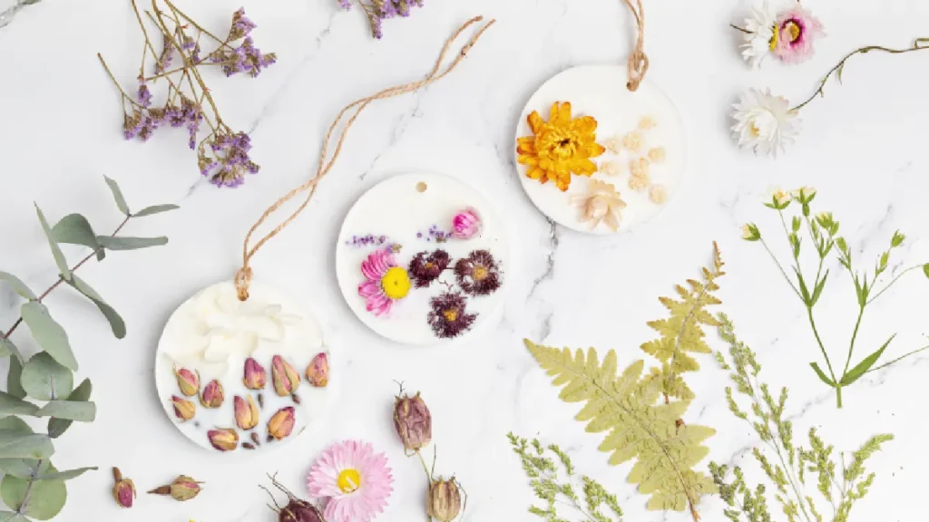 Kuruyan Gelin Çiçeğini Değerlendirmenin Yöntemleri