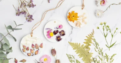 Kuruyan Gelin Çiçeğini Değerlendirmenin Yöntemleri