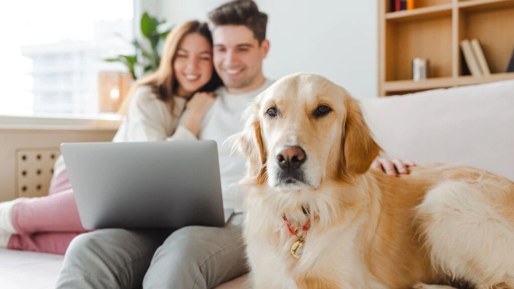 Evcil Hayvanınız Yeni Partnerinizi Onaylamıyorsa Ne Yapmalısınız?