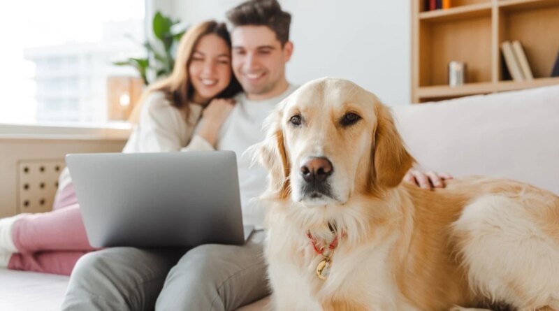 Evcil Hayvanınız Yeni Partnerinizi Onaylamıyorsa Ne Yapmalısınız?