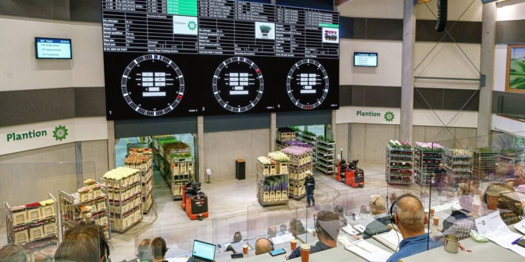 Vazodaki Çiçeğin Seyahati: Çiçek Mezatı Nasıl Gerçekleşiyor?