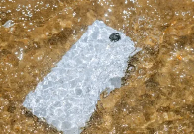 Evde Sıvı Dökülen Elektronik Cihazlar İçin "Acil Müdahale" Rehberi