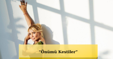 Şoke Eden Sezen Aksu Açıklaması