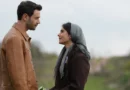 Seyirci O Detaya Patladı: Kız Kulesi’nde Kuzu Gezdirilir mi?