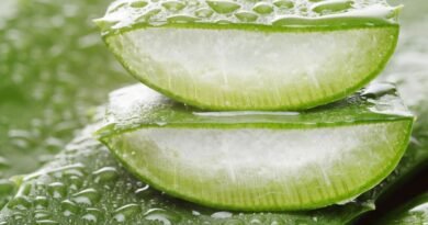 Aloe Vera'nın Tüm Merak Uyandıran Faydaları