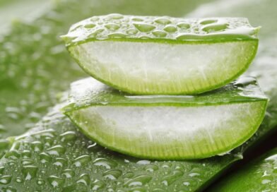 Aloe Vera'nın Tüm Merak Uyandıran Faydaları