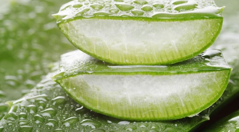 Aloe Vera'nın Tüm Merak Uyandıran Faydaları