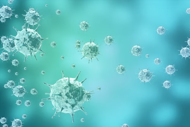 Hantavirüs: Yeni Bir Tehdit Değil, Panik Yaratmamalı