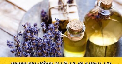 Uçucu (Esansiyel) Yağların ve Diğer Yağların Faydaları Nedir?