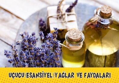 Uçucu (Esansiyel) Yağların ve Diğer Yağların Faydaları Nedir?