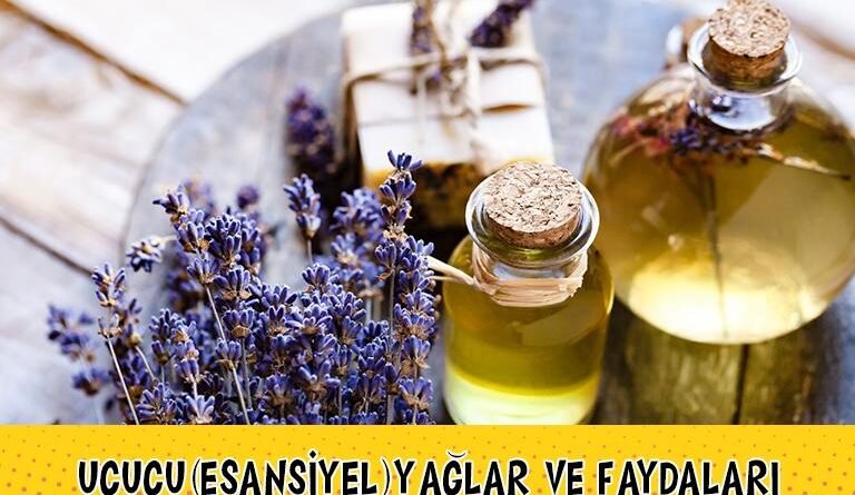 Uçucu (Esansiyel) Yağların ve Diğer Yağların Faydaları Nedir?