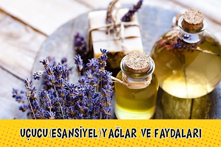 Uçucu (Esansiyel) Yağların ve Diğer Yağların Faydaları Nedir?
