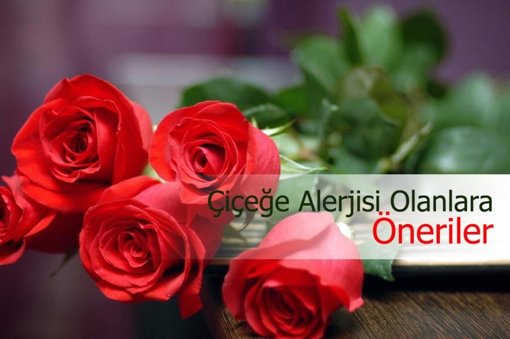 Polen Alerjisi Nedir? Çiçek Alerjisi Olanlar İçin Hangi Çiçekler Uygundur?