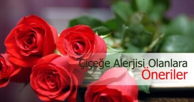 Polen Alerjisi Nedir? Çiçek Alerjisi Olanlar İçin Hangi Çiçekler Uygundur?