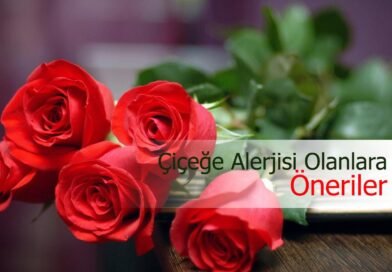 Polen Alerjisi Nedir? Çiçek Alerjisi Olanlar İçin Hangi Çiçekler Uygundur?