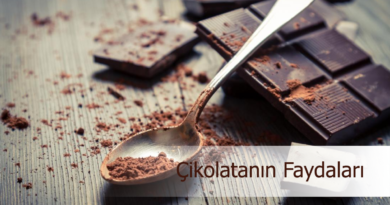 Çikolatanın Yolculuğu ve Az Bilinen 10 Faydası