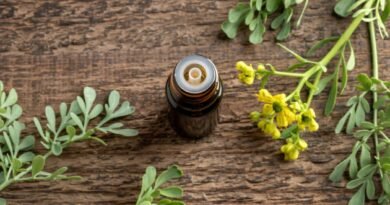 Fitoterapi Nedir ve Nasıl Uygulanır?