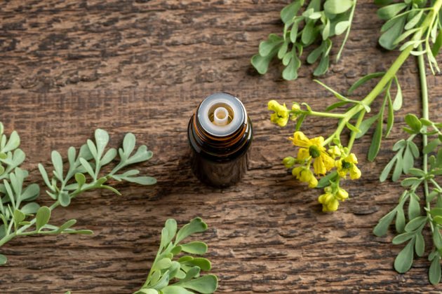 Fitoterapi Nedir ve Nasıl Uygulanır?