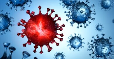 Nipah Virüsü Nedir? Semptomları ve Tedavi Yöntemleri