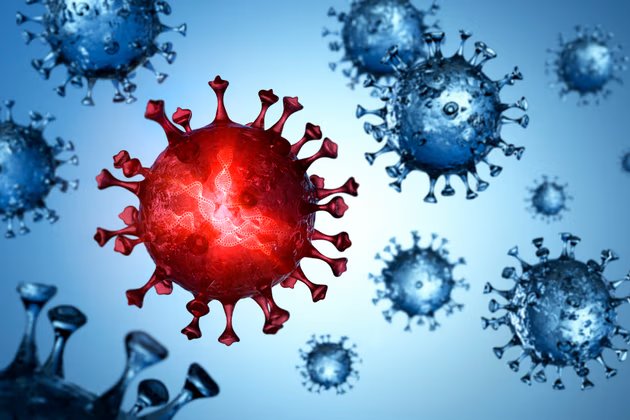 Nipah Virüsü Nedir? Semptomları ve Tedavi Yöntemleri