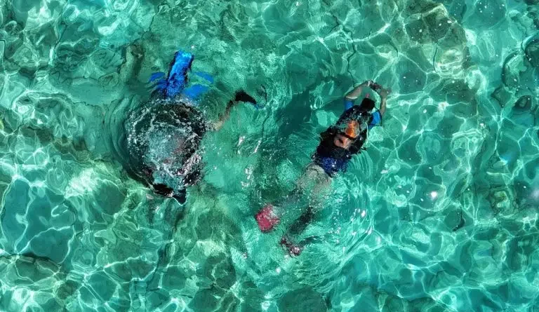 Batıklardan Resiflere: Türkiye’nin En İyi 4 Dalış Noktası