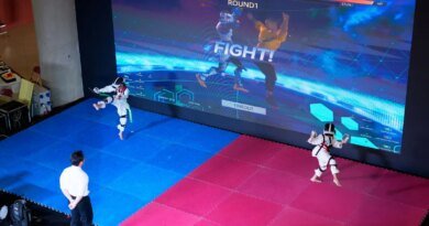Sanal Taekwondo: Dövüş Sporlarının En Büyük Korkusunu Aşmanın Yenilikçi Yolu!
