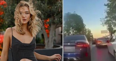 TRAFFIC NIGHTMARE: THEY CUT OFF HER PATH AND THREATENED HER WITH A GUN!