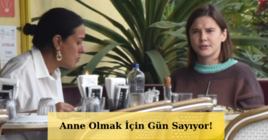 Bebek Heyecanı Yaşayan Alina Boz'dan Son Kareler! Belirginleşen Karnı Dikkat Çekti